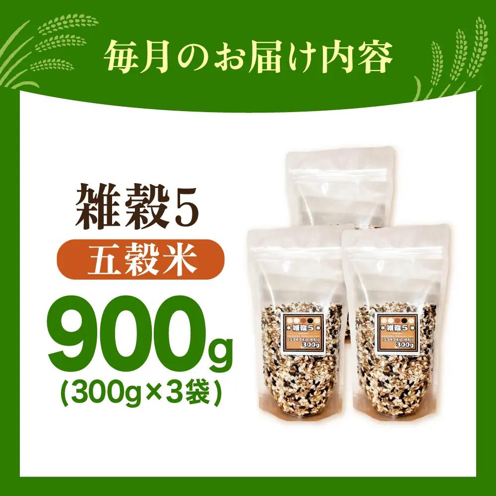【全12回定期便】 雑穀5 900g（300g×3袋）佐賀県産五穀米 【大塚米穀店】[HBL190]