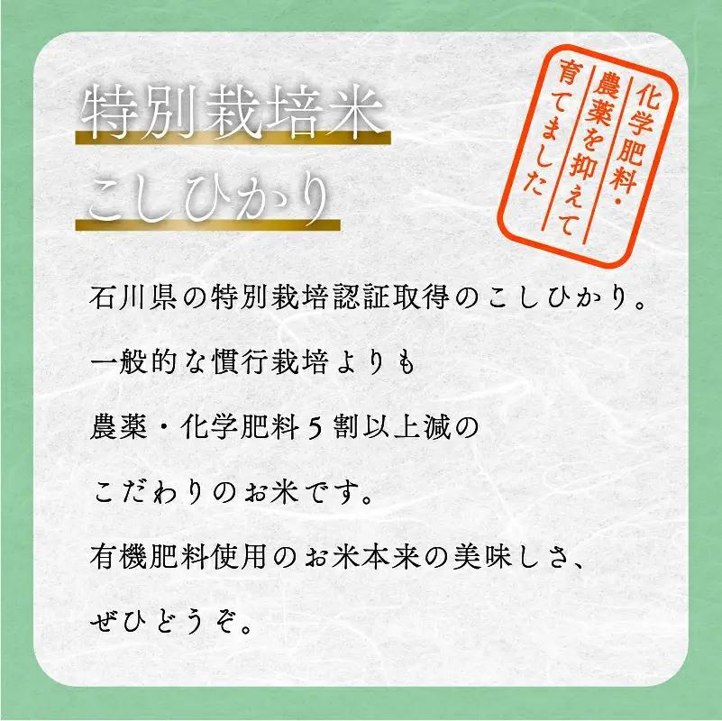こしひかり 玄米 5kg 特別栽培米 令和8年産 こしひかり コシヒカリ 農家ふじた