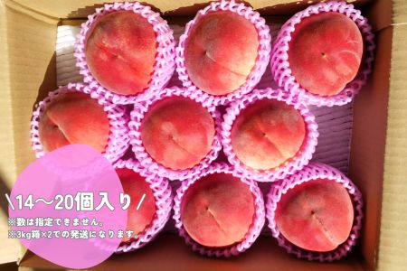 桃 あかつき 6kg＜2025年7月下旬より発送＞