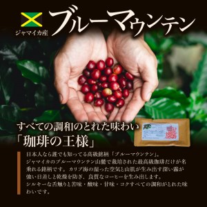 ブルーマウンテン１００g＆ハワイコナコーヒー１００g 定期便６ヶ月コース　粉コース_Ec108-P_定期便 6ヶ月 コーヒー 粉 各 100g 2種 ブルーマウンテン ハワイコナコーヒー シルキーな舌