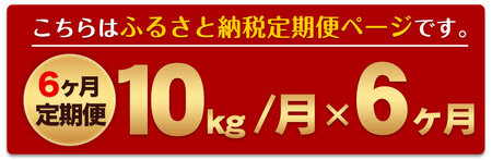 令和5年産 ひのひかり 【6ヶ月定期便】 無洗米 《お申込み月の翌月から出荷開始》 10kg (5kg×2袋) 計6回お届け 熊本県産 単一原料米 ひの 熊本県 御船町