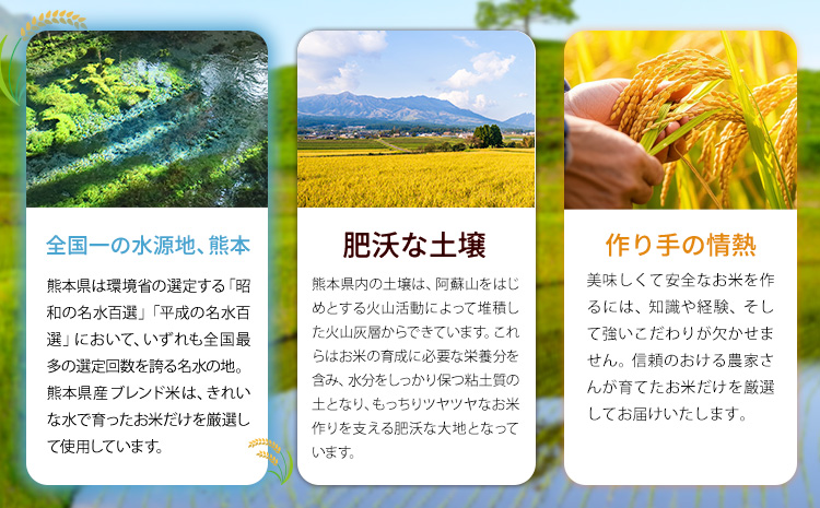 【隔月6回定期便】熊本県産 ブレンド米 くましずく 白米 5kg《お申込み翌月から出荷》こめ ふるさとのうぜい コメ お米 おこめ