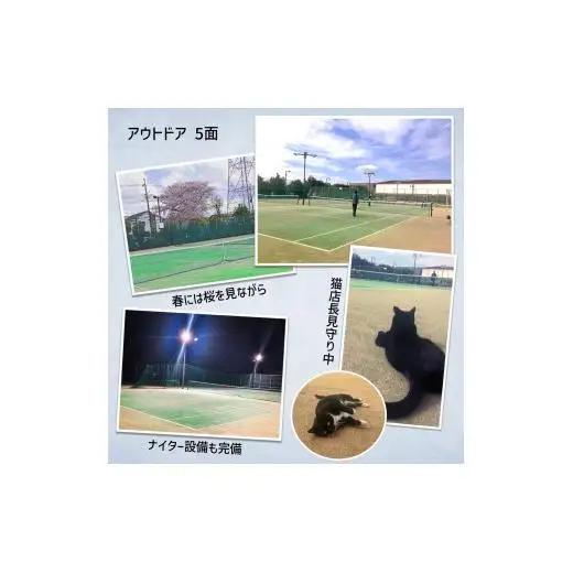 白井テニスクラブ利用券 1,000円分 レンタルテニスコート＆スクール対応 ラケットやボールの貸出あり 手ぶらでテニス レンタルテニスコート レンタルコート テニス練習 テニススクール 体験レッスン 