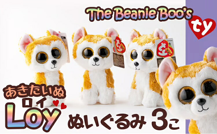 【ふるさと納税】60P7320 Tyぬいぐるみ秋田犬Loy(ロイ)3個セット【花ドーム(株)】