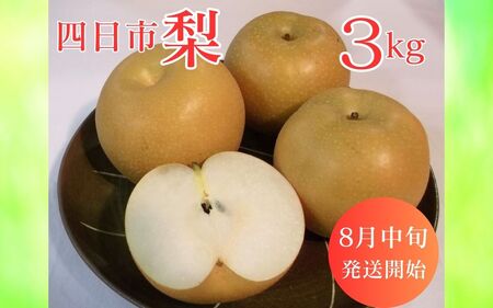 【先行予約】水谷さんが真心こめて育てた梨 3kg