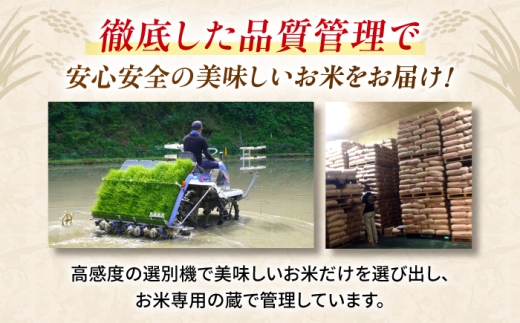 〈令和8年度産米〉【6回定期便】熊本県産 くまさんの輝き 白米 20kg (5kg×4) 米 お米 ご飯 こめ【有限会社 あそしな米穀】 [ZBI052]