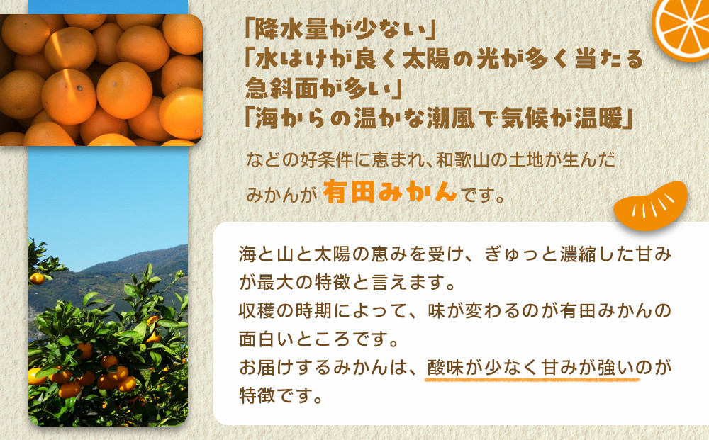 産地直送 有田みかん 大玉サイズ 2L～4L サイズ混合 約10kg 喜楽farms 【2026年12月以降順次発送】