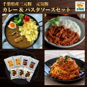 【ふるさと納税】【ギフト】元気豚　カレー&パスタソースセット【1464847】