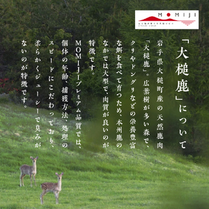 【ジビエ初心者おすすめNo.1】大槌鹿の寒こうじ漬け&山賊焼きセット 岩手県産 天然鹿 鹿肉 味付肉 山賊焼 ジビエ ヘルシー 低カロリー つまみ あて おかず ご飯のお供 赤身 冷凍 加工肉 ギフト