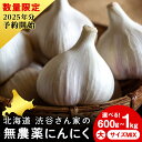 【ふるさと納税】2025年分予約【数量限定】渋谷さん家の「無農薬 にんにく」 選べる600g～1kg 大・中・小サイズ北海道ふるさと納税 積丹町 ふるさと納税 北海道 野菜 無農薬栽培 にんにく 大蒜 無農薬野菜 通販 ギフト 贈答品 贈り物