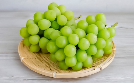 【定期便2回】極上山形フルーツ便～シャインマスカットとサンふじの恵み～ 【令和7年産先行予約】FS24-747