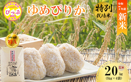 【先行予約】【西間農園】特別栽培米 みがき玄米 ゆめぴりか 20kg【11月から12月上旬発送】JGAP認証農場 米 お米 北海道米 特Aランク 国産 コメ 北海道 比布町 1005-053