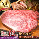 【ふるさと納税】【選べる定期便】【溢れる肉汁と濃厚な旨味】和牛 サーロイン 1kg（250g×4枚） 肉 定期便 広川町/株式会社MEAT PLUS[AFBO009]