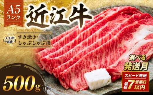 近江牛 A5 特上ロース すき焼き 500g 9月発送 A5ランク メス牛 特上 近江牛ロース ロース 牛肉 肉 お肉 和牛 黒毛和牛 国産牛 日本三大和牛 雌牛 ブランド牛 すきやき しゃぶしゃぶ お歳暮 おすすめ 滋賀 彦根