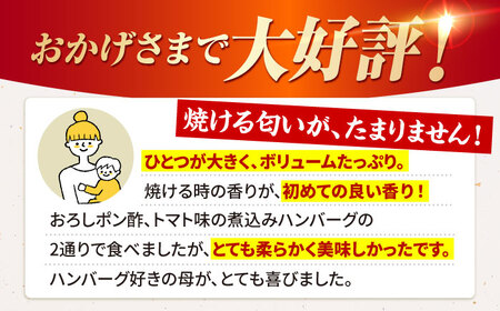 【全6回定期便】佐賀牛 ハンバーグ （10個） HAA036 牛肉 ハンバーグ 赤身 国産