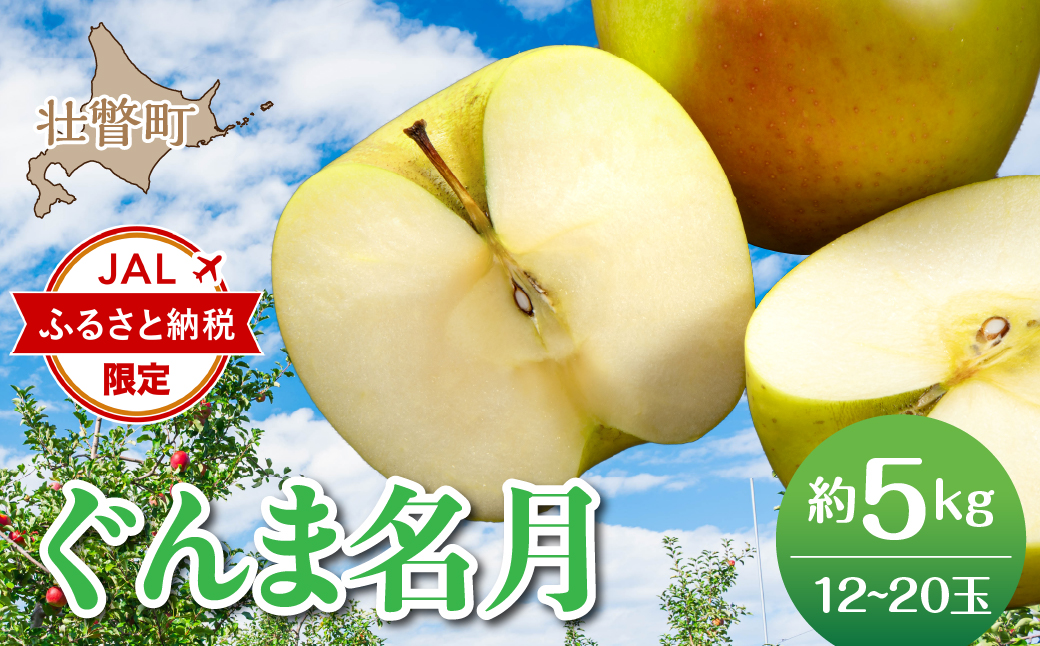 ★JAL限定★ 北海道壮瞥町産りんご「ぐんま名月」約5kg(12〜20玉)<2026年11月中旬よりお届け> SBTF013