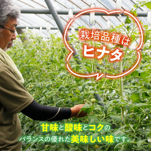 トマト 贈答にもおすすめ そのままでも 美味しい 【石墨清流トマト】糖度9～11度 久万高原町　※離島への配送不可