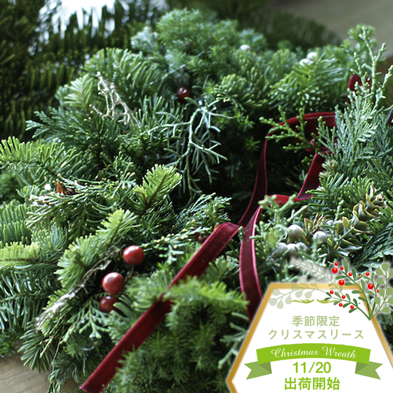 159-2039-12　季節限定クリスマスリース（個数限定）かざい冬でも青々としたエバーグリーンと木の実を組み合わせたリース。フレッシュな森の香りとやがてはドライになってゆく色の移ろいも楽しめます。花材はお任せにてご用意します〈出荷時期:2025年11月20日～12月10日〉