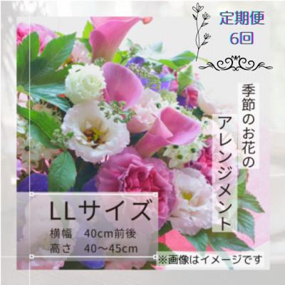 ふるさと納税 筑西市 【毎月定期便】季節のお花のアレンジメントLLサイズ〜届いてそのまま飾れるフラワーアレンジ全6回