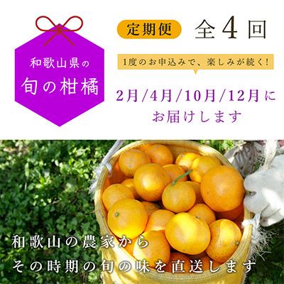 ふるさと納税 那智勝浦町 【発送月固定定期便】季節の柑橘定期便A【フルーツ定期便】【和歌山県有田】全4回 |  | 01