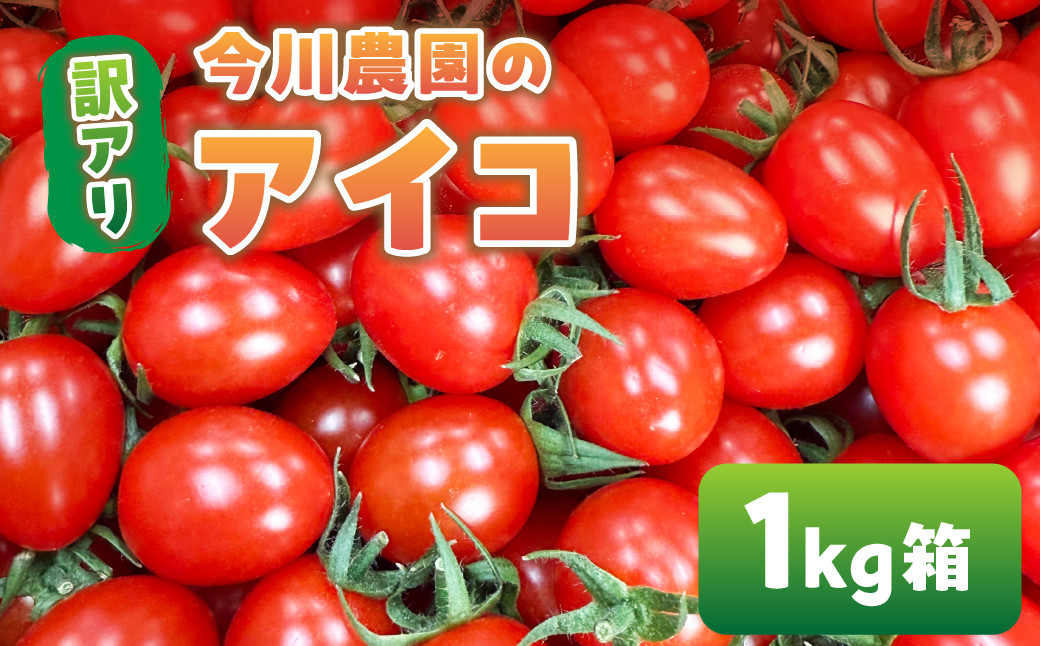 
                  【ふるさと納税】【先行予約】今川農園のミニトマト 訳ありアイコ 1kg 先行予約受付 期間限定 季節限定 野菜 国産 完熟 やさい フルーツ トマト 完熟 千果 ミニトマト イエロー プチトマト イエロートマト プチ お弁当 贈り物 おやつ サラダ 送料無料 産地直送
                