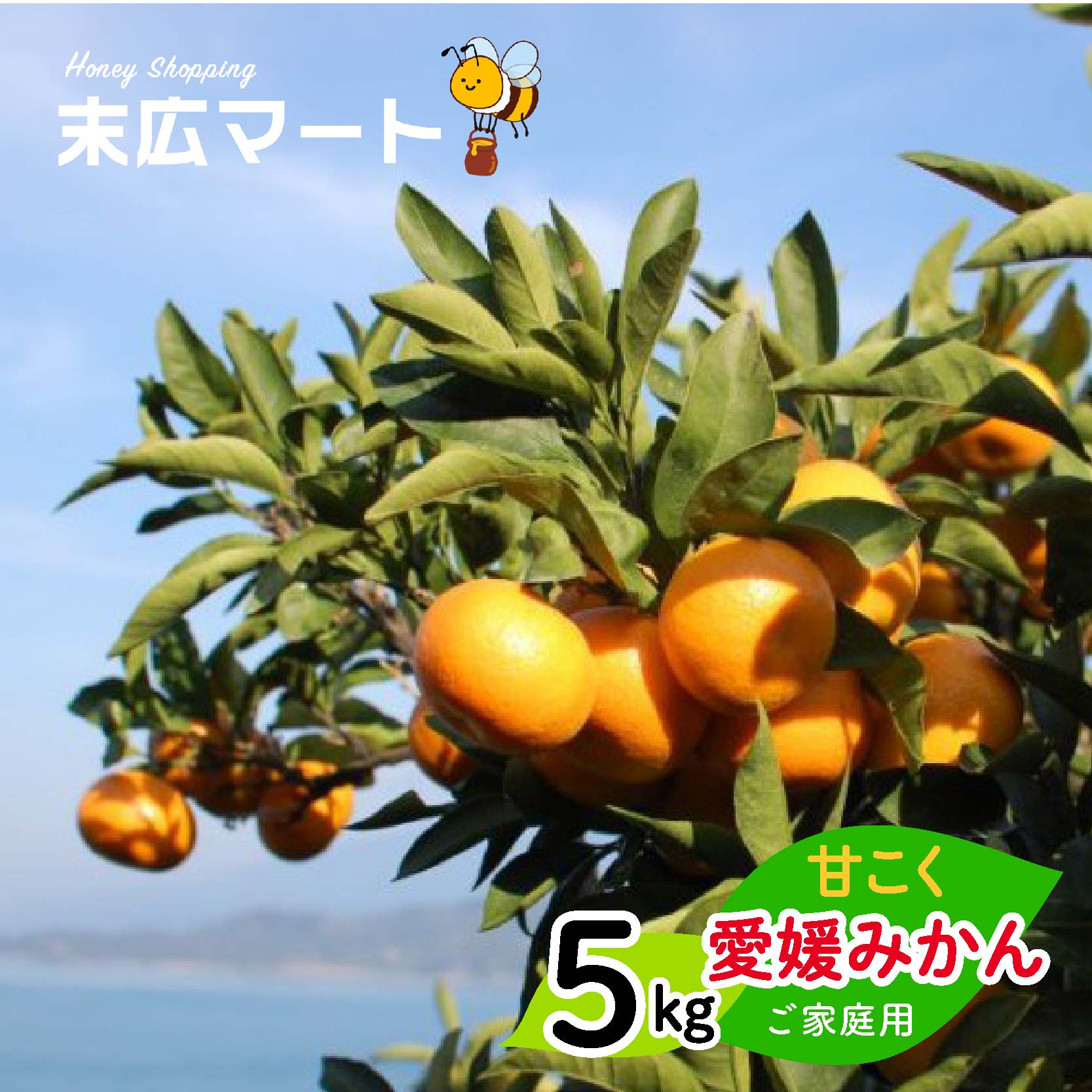 【ふるさと納税】 【11月中旬から順次発送】甘こく愛媛みかん 瀬戸内の太陽と潮風で育ったご家庭用 3kg/5kg | 蜜柑 みかん 愛媛 松山 フルーツ 果物 くだもの 数量限定 期間限定 送料無料 おすすめ人気 お歳暮