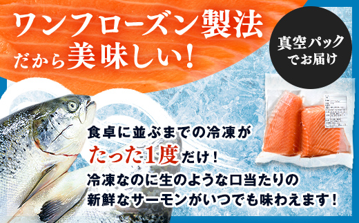【極上の脂のり】アトランティックサーモン 背身&ハラス食べ比べセット 約500g ＜道産ネットミツハシ＞ 鮭 サーモン 北海道 森町 ふるさと納税 mr1-1375
