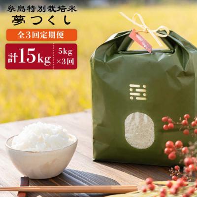 ふるさと納税 糸島市 【全3回定期便】とくべつの中のとくべつ糸島特別栽培米5kg夢つくし(株)やました[ARJ027]