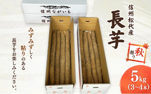 
                  長芋（秋堀り）5kg
                