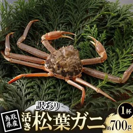【先行予約】鳥取県産 訳あり 活 松葉がに 700g×1杯(中村商店)2027年1月末より順次発送【配送不可地域：離島・北海道・沖縄県・東北・信越、北陸】【1692916】