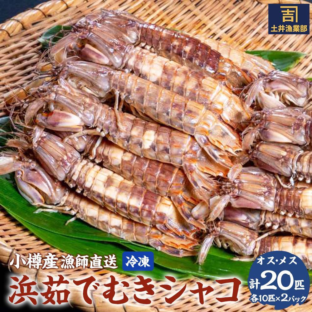 【ふるさと納税】【内容量選択可能】小樽産 漁師直送 浜茹でむきシャコ (冷凍) オス10匹・メス10匹＜計2パック＞またはオス10匹×2・メス10匹×2＜計4パック＞ | シャコ 茹で 冷凍 小分け 北海道産 小樽市 送料無料 【2025年12月下旬発送予定】