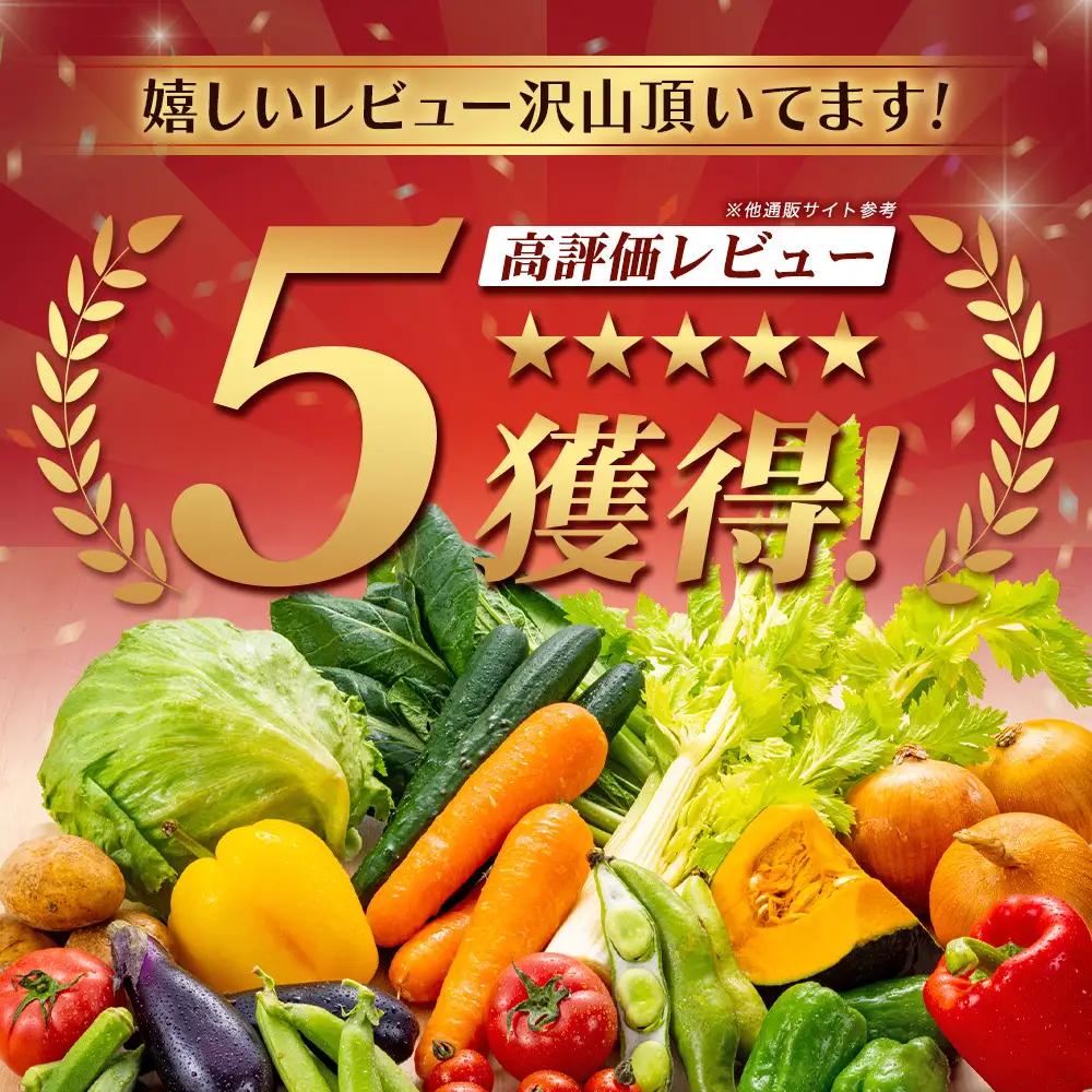 広島県庄原産「旬の野菜」詰め合わせ箱（13～15品目）野菜セット やさい