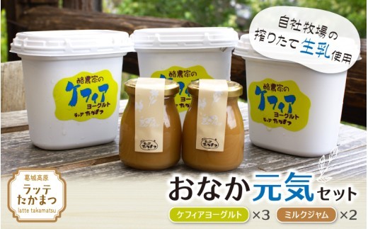 
                  ラッテたかまつ おなか元気セット ／ 葛城 高原 牧場 ケフィア ヨーグルト ミルク ジャム【latt004】
                