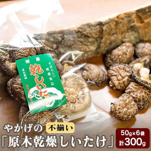 【ふるさと納税】やかげの「原木乾燥しいたけ」 不揃い 備中南森林組合 岡山県矢掛産《30日以内に出荷予定(土日祝除く)》