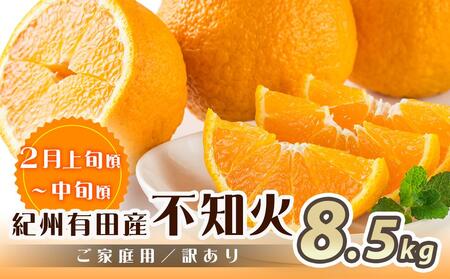【魚鶴商店厳選】和歌山人気の柑橘ご家庭用・訳あり定期便（みかん・不知火・清見オレンジ）【定期便全3回】