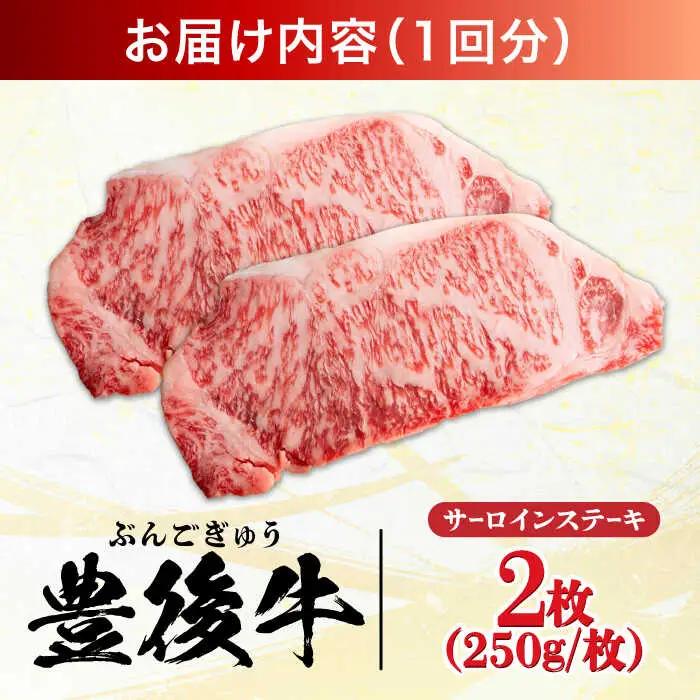 【全6回定期便】おおいた豊後牛 サーロインステーキ 500g (250g×2枚) サーロインステーキ [AREI057]
