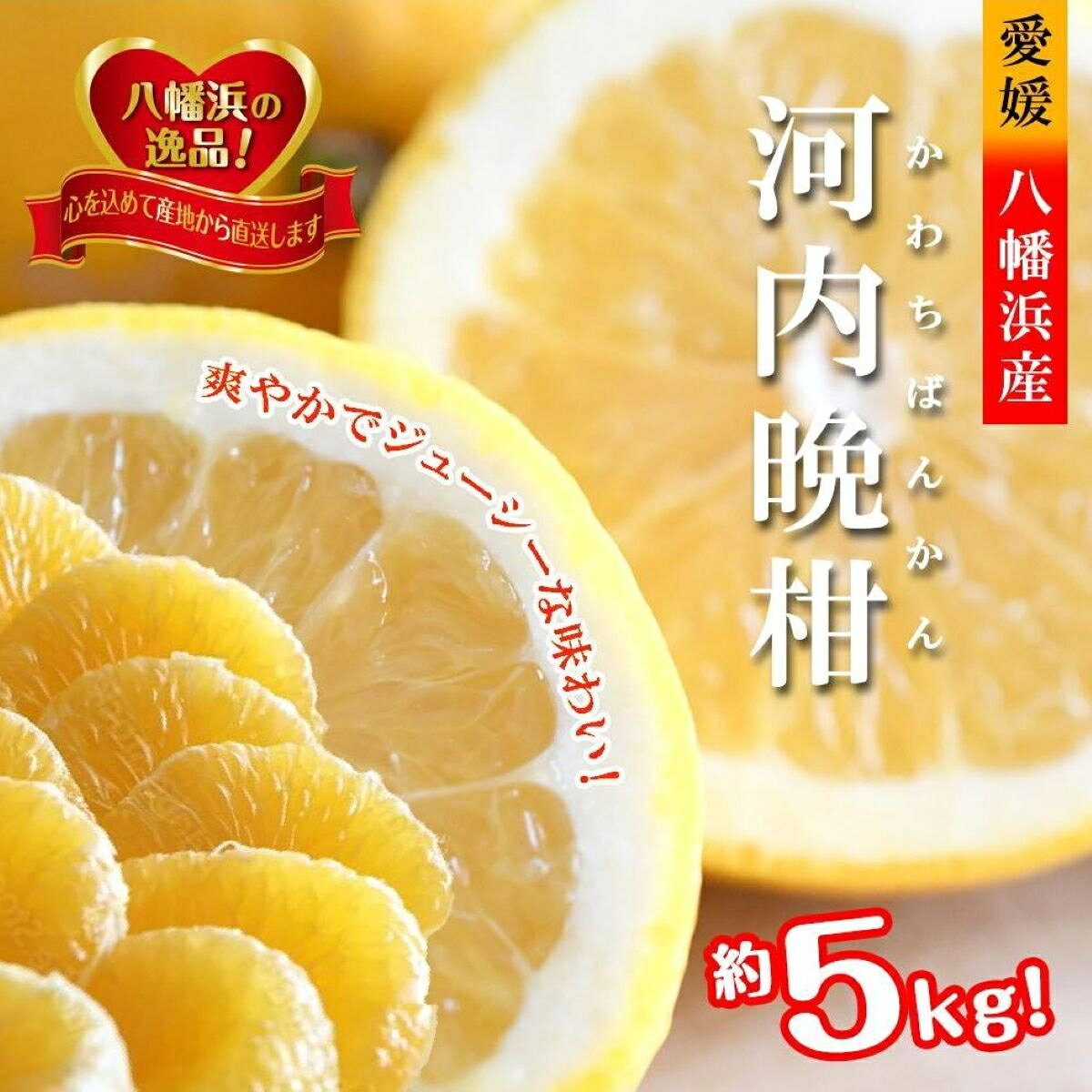 【ふるさと納税】【先行受付】爽やかでみずみずしい!初夏のジューシー「河内晩柑」約5キロ【C39-81】_【配送不可地域：離島】【1639646】YWTF056