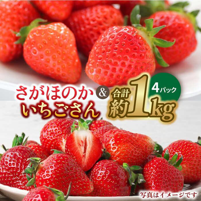 【ふるさと納税】【1月中旬〜2月中旬発送】佐賀県自慢の2種！さがほのか＆いちごさん 平パック4P 約1kg いちご 果物 旬 イチゴ 佐賀県産 佐賀産 佐賀 吉野ヶ里町/リエンサーク [FCC004]