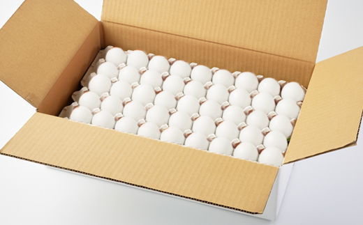 大分生まれのAW飼い有精卵「豊の米卵」10kg(白卵)【配送不可地域：離島】