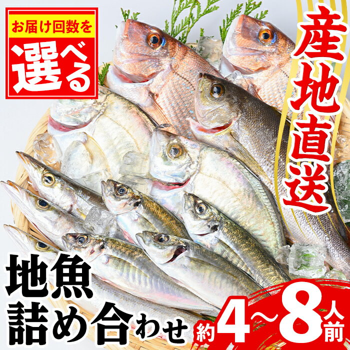 【ふるさと納税】 ＜選べる容量・配送回数！＞地魚詰め合わせセット(約4人分 or 約6～8人前) 鹿児島 国産 九州産 産直 産地直送 鮮魚 鮮魚ボックス 鮮魚BOX 地魚 新鮮 魚 海産物 お刺身 刺身 さしみ 刺し身 煮つけ 焼き魚 全3回 全6回 連続月 毎月 【マルケイ水産】
