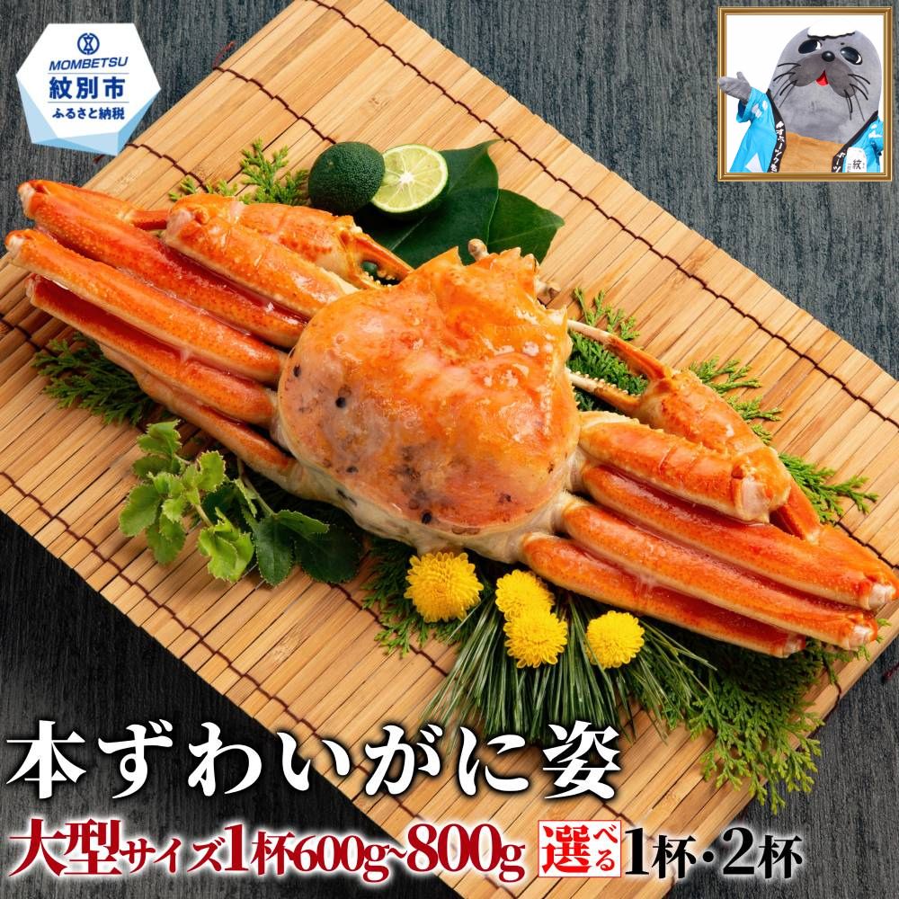 【ふるさと納税】本ずわいがに姿 大型サイズ 約600〜800g | ボイルズワイガニ ボイル ずわいがに ズワイガニ 楚蟹 カニ かに 蟹 かに姿 姿 選べる 紋別市 紋別 アザラシ
