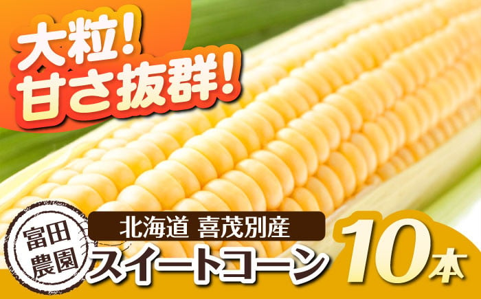 
            【2025年分予約開始！】こだわり農家の喜茂別産スイートコーン 10本 《喜茂別町》【富田農園/スプレス】 スイートコーン コーン トウモロコシ とうもろこし 夏野菜 野菜 季節の野菜 冷蔵 冷蔵配送 北海道 [AJAJ003] 15000 15000円
          