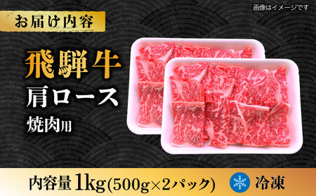 飛騨牛 焼肉用 ロース・肩ロース 1kg A4等級以上  多治見市 / 渡辺精肉店 和牛 ブランド牛 牛肉[TAZ034]