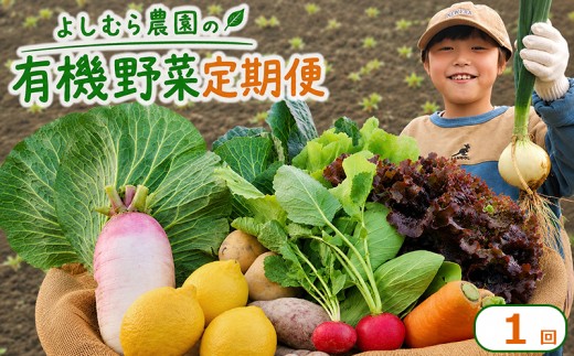 野菜 詰め合わせ 10種 よしむら農園 オーガニック 有機 有機野菜 やさい ベジタブル おまかせ セット 一人暮らし おすすめ レタス とうもろこし トマト 有機栽培 JAS 栄養 贅沢 国産 大容量 人気 新鮮 今が旬 香川県 丸亀市
