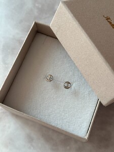 Pt900 ドクロモチーフピアス（PE8098）