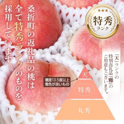ふるさと納税 桑折町 もも【だてか白桃・2026年産先行受付】特秀3kg(8〜11玉)桑折町振興公社　桃 |  | 03