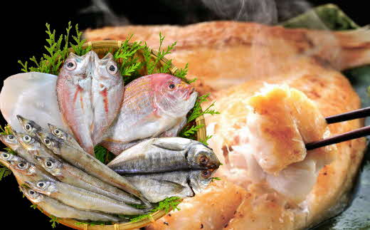 【ふるさと納税】お手軽干物セット のどぐろ 鯛 いか 沖ギス あじ 魚介類 魚貝類 魚 干物 一夜干し セット 詰め合わせ 【020_1675】