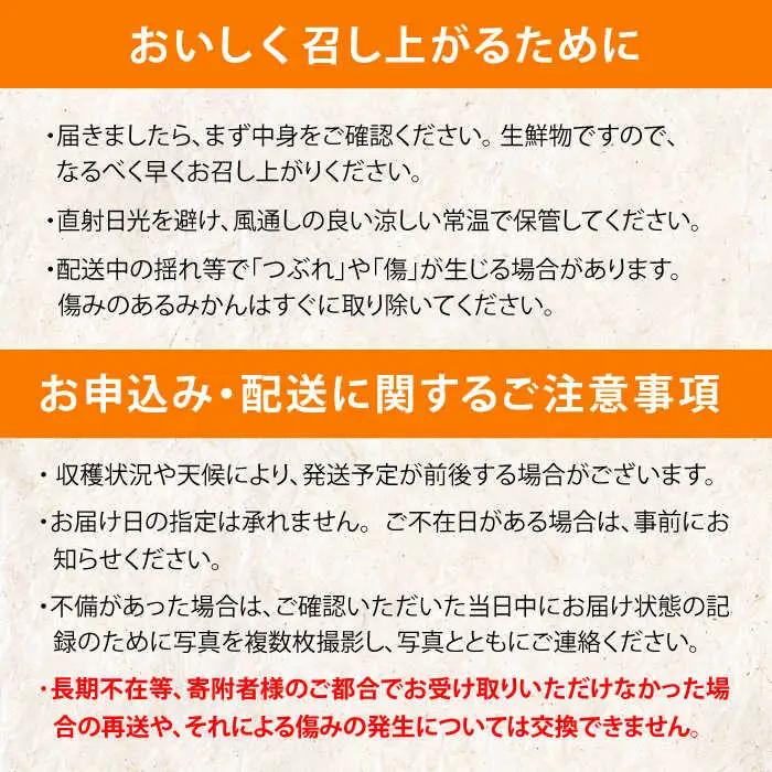 みかん10kg AHBD001 伊木力みかん