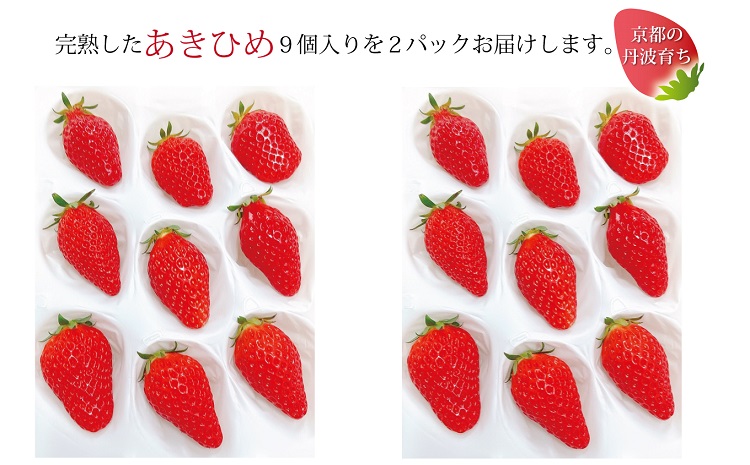 【2025年1月以降発送予定】京都 丹波高原育ちのいちご あきひめ レギュラー 18個 （9個×2パック） 京丹波町産 完熟 いちご 甘さ抜群 京都誠志郎農園 ※北海道・東北・沖縄・離島はお届け不可。