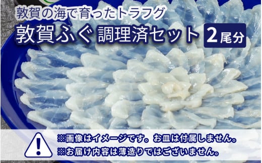 ＜先行予約＞【11月発送】 敦賀ふぐ 調理済セット 2尾分（約1200g）てっちりやしゃぶしゃぶなどに【ふぐ フグ 河豚 刺身 ふぐ刺 薄造り しゃぶしゃぶ てっちり 鍋 唐揚げ お中元 お歳暮 ギフト 贈り物 プレゼント】[041-b001-11]